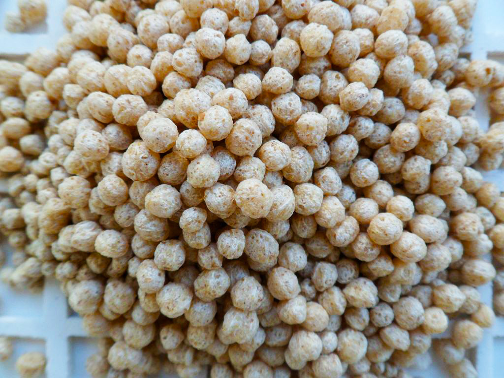 Plavorazione di materie prime di cereali, crusca di frumento, farine di crusca di segale Polonia